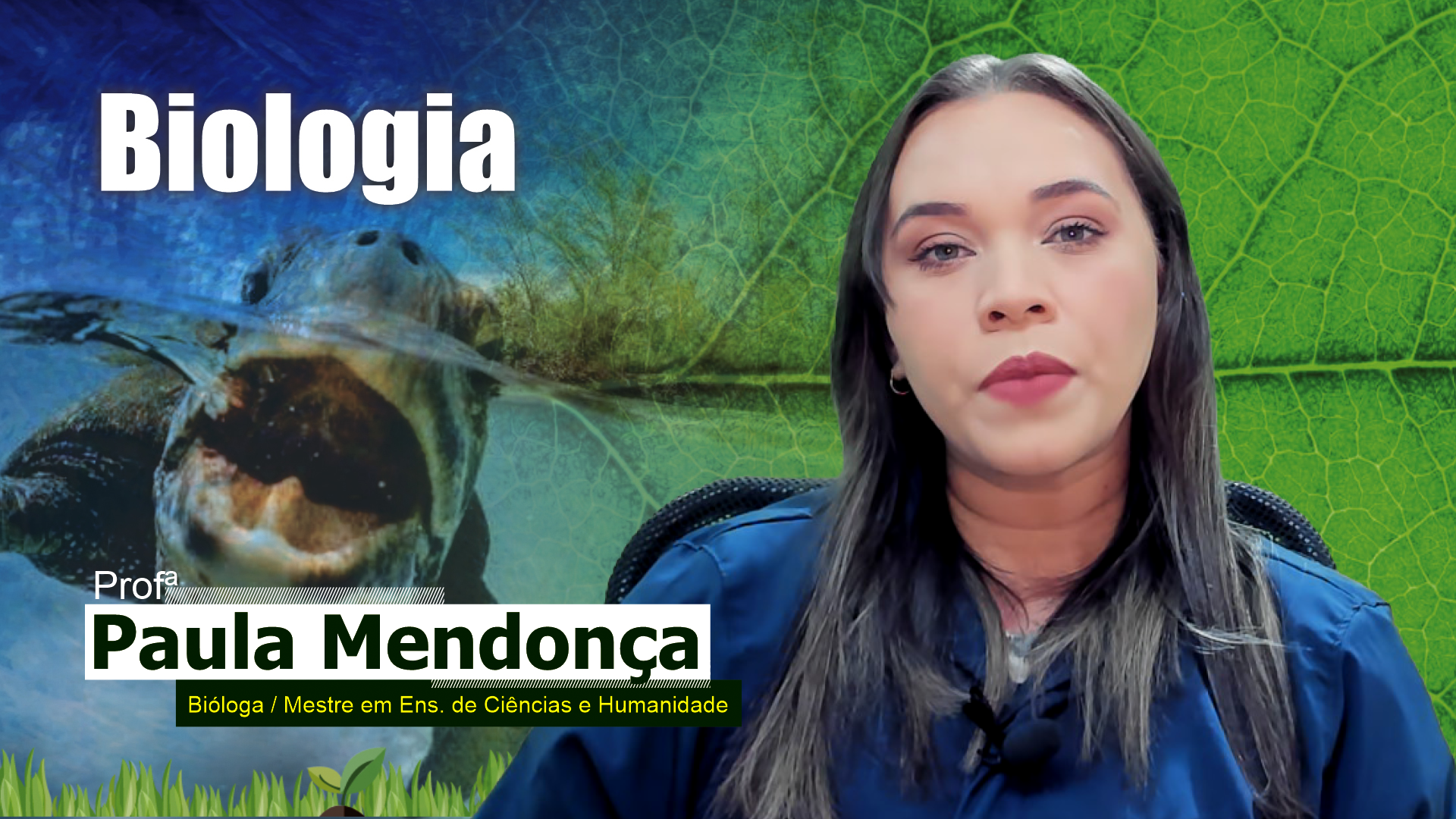 Paula Mendonça